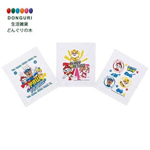 y200~N[|z SKATER XP[^[ ڂ ^I 3Zbg pE pg[ 23 OAC1T-A XP[^[ v[g j wj W wW  w ۈ牀 ct 