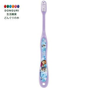 y200~N[|z SKATER XP[^[ wp 6-12 炩 uV AiƐ̏ fBYj[ 15.5cm TB6S XP[^[ v[g q w Ai AiObY 킢  