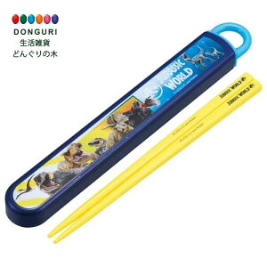 y200~N[|z SKATER XP[^[  16.5cm Zbg WVbN [h 24 qp R { ABS2AMAG-A XP[^[ v[g wj w ۈ牀 ct wZ q ̎q 
