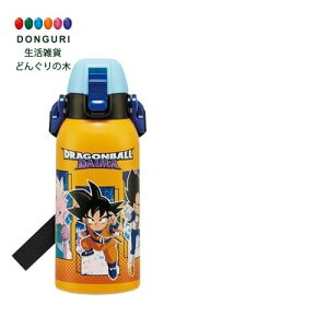 y200~N[|z SKATER XP[^[ qp XeX  600ml  qɗDyʃ^Cv hS{[DAIMA j̎q ۗp waterbottle X|[c{g LbY ǂ r STCH6-A X