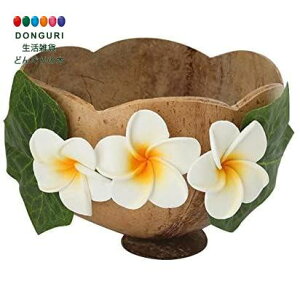 y200~N[|z gR[|[V RRic{E [t&vA WH 10220810266 gR[|[V v[g j wj 킢  Ԃ