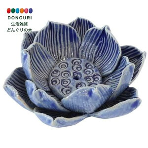 y200~N[|z gR[|[V  Z~bN[^X L u[ gR[|[V v[g j wj 킢  Ԃ