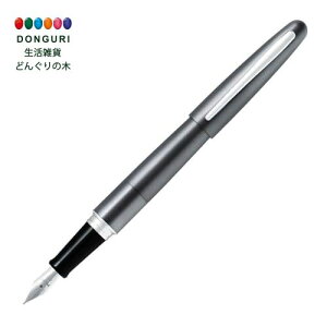 y200~N[|z PILOT pCbg RN[ NM ׎ O[ v[g j wj 킢  Ԃ