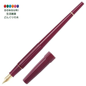 y200~N[|z PILOT pCbg fXNy ɍ EF bh P-DPP-1S-REF v[g j wj 킢  Ԃ