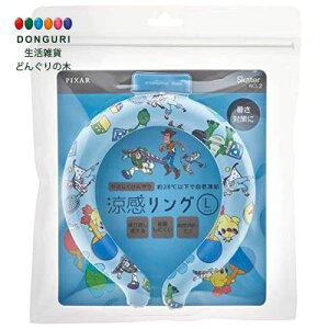 y200~N[|z SKATER XP[^[ O JԂg lbNN[[ LTCY l jp fBYj[ gC Xg[[ 23 NCL2-A XP[^[ v[g ۈ牀 ct wZ 