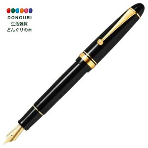 【200円クーポン】 PILOT パイロット 万年筆 カスタム742 中細字 FM 黒軸 FKK2000RBFM <プレゼント 入園祝い 入学祝い かわいい おしゃれ お返し>