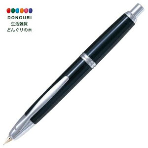 y200~N[|z PILOT pCbg NM LbvX FCN1MRBF ubN v[g j wj 킢  Ԃ