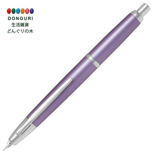 【200円クーポン】 PILOT パイロット 万年筆 キャップレスデシモ FCT15SRVF バイオレット <プレゼント 入園祝い 入学祝い かわいい おしゃれ お返し>