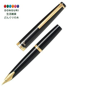 y200~N[|z PILOT pCbg NM G[g95S FES-1MM-B-F ׎  v[g j wj 킢  Ԃ