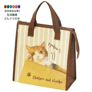 y200~N[|z SKATER XP[^[ `obO sDz ۗobO YƂȂ FBC1-A XP[^[ v[g j wj w ۈ牀 ct wZ q ̎q w 