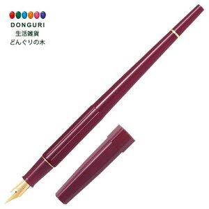 y200~N[|z PILOT pCbg fXNy ׎ F bh P-DPP-1S-RF v[g j wj 킢  Ԃ