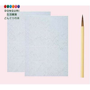 【200円クーポン】 PILOT パイロット 水筆紙 水書きお習字練習シート MSN-100P <プレゼント 入園祝い 入学祝い かわいい おしゃれ お返し>