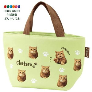 y200~N[|z SKATER XP[^[ z `obO ` g[gobO t@Xi[ ٓ obO YƂȂ YEB5-A XP[^[ v[g ۈ牀 ct wZ q ̎q w