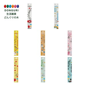 y200~N[|z SKATER XP[^[ H@Ή AN  21cm s[ibc Xk[s[ AAC45 XP[^[ v[g j wj W wW  w ۈ牀 ct