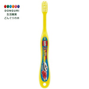 y200~N[|z SKATER XP[^[ p 3-5 炩 uV g~J 19 14cm TB5S XP[^[ v[g  ObY ۈ牀 ct q 킢  sNjbN 