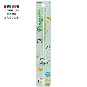 y200~N[|z SKATER XP[^[ H@Ή AN  21cm s[ibc MO Xk[s[ AAC45 XP[^[ v[g W wW  w ۈ牀 ct wZ 