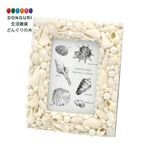 y200~N[|z gR[|[V VFtHgt[ gR[|[V v[g j wj 킢  Ԃ