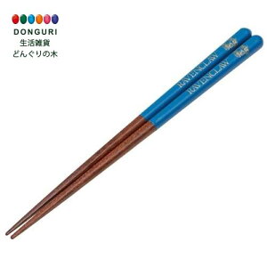 y200~N[|z SKATER XP[^[ h 21cm p  h蔢 n[ |b^[ CuN[ ANN4SQ-A XP[^[ v[g q ̎q w ٓ `obO Jg[Zbg Z