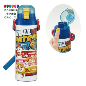 y200~N[|z SKATER XP[^[ qp XeX   580ml pE pg[ 24 ۗp waterbottle 킢LbY q ǂ r SDC6N-A XP[^[ v[g q 킢