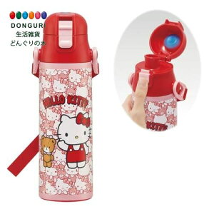 y200~N[|z SKATER XP[^[ qp XeX   580ml n[LeB 낤 TI ۗp waterbottle 킢LbY q ǂ r SDC6N-A XP[^[ v[