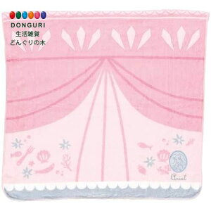 【200円クーポン】 SKATER スケーター 吸水 速乾 バスタオル 縦60×横120cm ディズニー プリンセス アリエル TODR1 <スケーター ラッピング不可 プレゼント 入園祝い 入学祝い 保育園 幼稚園 小学