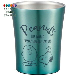 y200~N[|z SKATER XP[^[ ۉ ۗ XeX ^u[ 250ml Xk[s[ 24 STB2N XP[^[ v[g wW  w ۈ牀 ct wZ q ̎q w 