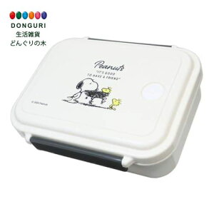 y200~N[|z SKATER XP[^[ X`[`{bNX LN^[ ٓ `{bNX 500ml e WΉ ٓ `{bNX 킢  Ԃ LbY L