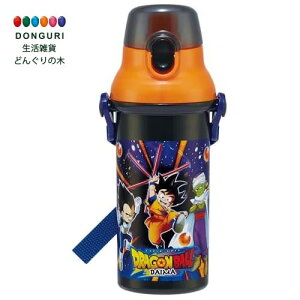 y200~N[|z SKATER XP[^[ qp vX`bN  480ml vbVJ R qɗD y RۉH { hS{[DAIMA j̎q PSB5SANAG XP[^[ v[g 