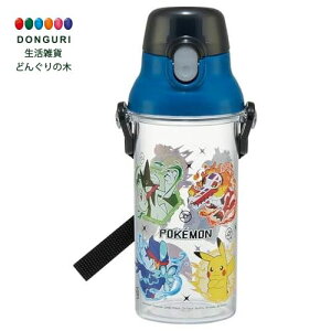 y200~N[|z SKATER XP[^[ qp NA  480ml vX`bN NA{g qp { |P 25 j̎q PSB5TR XP[^[ v[g ۈ牀 ct wZ q ̎q