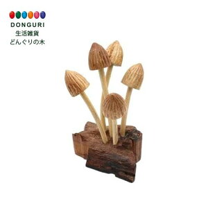 y200~N[|z gR[|[V Tomo Corporation Öؖؒ LmR RKT gR[|[V v[g j wj 킢  Ԃ