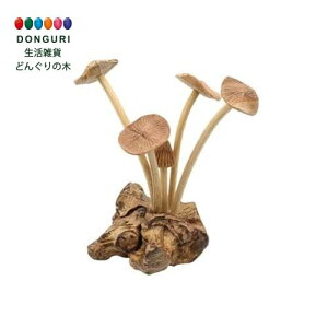 y200~N[|z gR[|[V Tomo Corporation Öؖؒ LmR ^C gR[|[V v[g j wj 킢  Ԃ