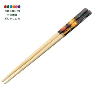 y200~N[|z SKATER XP[^[ |S  | 21cm SW 1995 ANT4-A XP[^[ v[g wj W wW  w ۈ牀 ct wZ q j̎q ̎q 