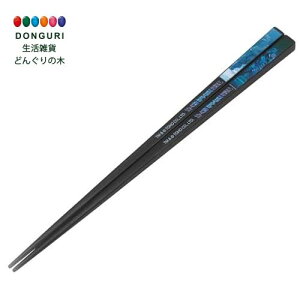 y200~N[|z SKATER XP[^[ AN  21cm H@Ή SW 2004 AAC45-A XP[^[ v[g j wj ۈ牀 ct wZ q j̎q ̎q w ٓ 