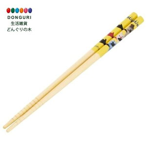 y200~N[|z SKATER XP[^[  | | 21cm H@Ή pybgXX ANT4C-A XP[^[ v[g w ۈ牀 ct wZ q ̎q w ٓ 킢 