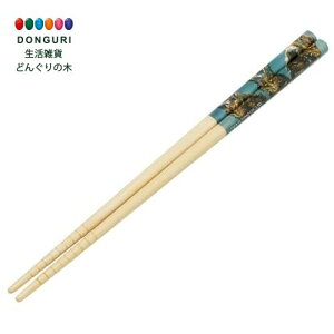 y200~N[|z SKATER XP[^[ |S  | 21cm SW JCU[Mh ANT4-A XP[^[ v[g W wW  w ۈ牀 ct wZ q j̎q 