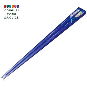 y200~N[|z SKATER XP[^[ AN  21cm H@Ή hS{[Z xW[^ j̎q AAC45-A XP[^[ v[g j wj ct wZ q ̎q w 