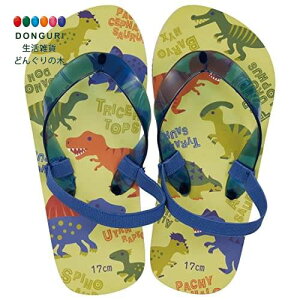 y200~N[|z SKATER XP[^[ LbY r[`T_ fBmTEX sN`[ 17cm SDBE17-A XP[^[ v[g j wj wW  w wZ q j