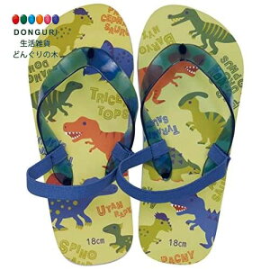 y200~N[|z SKATER XP[^[ LbY r[`T_ fBmTEX sN`[ 18cm SDBE18-A XP[^[ v[g j wj wW w q j̎q ̎q w 