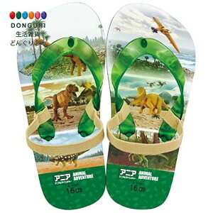 y200~N[|z SKATER XP[^[ LbY r[`T_ AjA 23 16cm SDBE16-A XP[^[ v[g j wj w ۈ牀 ct wZ q w 킢  