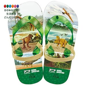 y200~N[|z SKATER XP[^[ LbY r[`T_ AjA 23 17cm SDBE17-A XP[^[ v[g j wj wW  w ۈ牀 ct wZ q w 