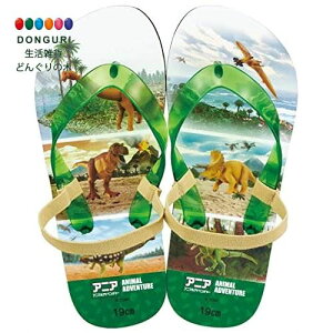 y200~N[|z SKATER XP[^[ LbY r[`T_ 19cm AjA 23 SDBE19-A XP[^[ v[g j wj w ۈ牀 ct wZ q ̎q w 킢 