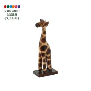 y200~N[|z gR[|[V ؒL H20cm W8.5cm×5cm×H21.5cm gR[|[V v[g j wj 킢  Ԃ