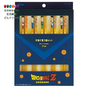 y200~N[|z SKATER XP[^[ V킰  21cm  Mtg 蕨 yY 5V 10{Zbg hS{[Z j̎q ANNTS4BOX-A XP[^[ v[g ct wZ q ̎q w 