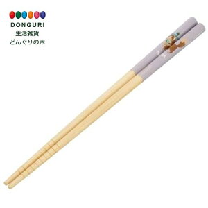 y200~N[|z SKATER XP[^[ |S  | 21cm fBYj[ s[^[p ii ANT4-A XP[^[ v[g wj W wW  w ۈ牀 ct wZ 