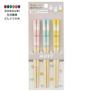 y200~N[|z SKATER XP[^[ |  16.5cm 3Vg ~btB[ ̎q ANT2T-A XP[^[ v[g wj W wW  w ۈ牀 ct wZ q ̎q 