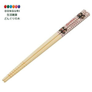 y200~N[|z SKATER XP[^[  | | 21cm H@Ή `b` ANT4C-A XP[^[ v[g w ۈ牀 ct wZ q ̎q w ٓ 킢  