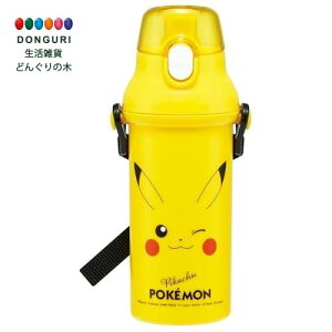 y200~N[|z SKATER XP[^[ qp   vX`bN 480ml vbVJ H@Ή { |P sJ`E tFCX 25 j̎q ̎q PSB5SAN-A XP[^[ v[