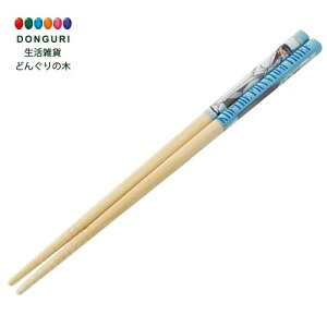 y200~N[|z SKATER XP[^[  | 21cm ׂ~߉H H@Ή { TRi Lbh ANT4J-A XP[^[ v[g wZ q ̎q w ٓ `ob