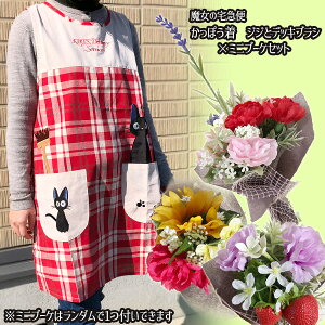 Wu ObY ̑} ۂ@WWƃfbLuV×ԃ~ju[PZbg X^WIWu Wu̓