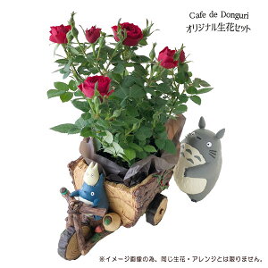 ԃMtg  s Wu ObY ƂȂ̃gg@ggƐX̎O֎ԁ@v^[Jo[ G߂̂܂EԃZbg X^WIWu ggԃMtg